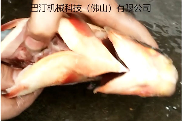 杀鱼机的优点有哪些?巴汀机械小编为您细数