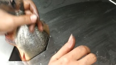杀鱼机的优点有哪些?巴汀机械小编为您细数